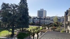 Uma área residencial com uma grande árvore, um gramado bem cuidado e um edifício alto ao fundo.