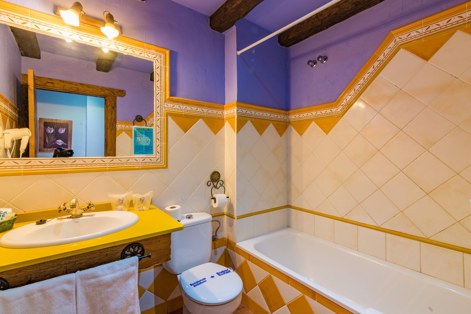 double room single use, terrace | bathroom | combined shower/bathtub, free toiletries, hair dryer, bidet