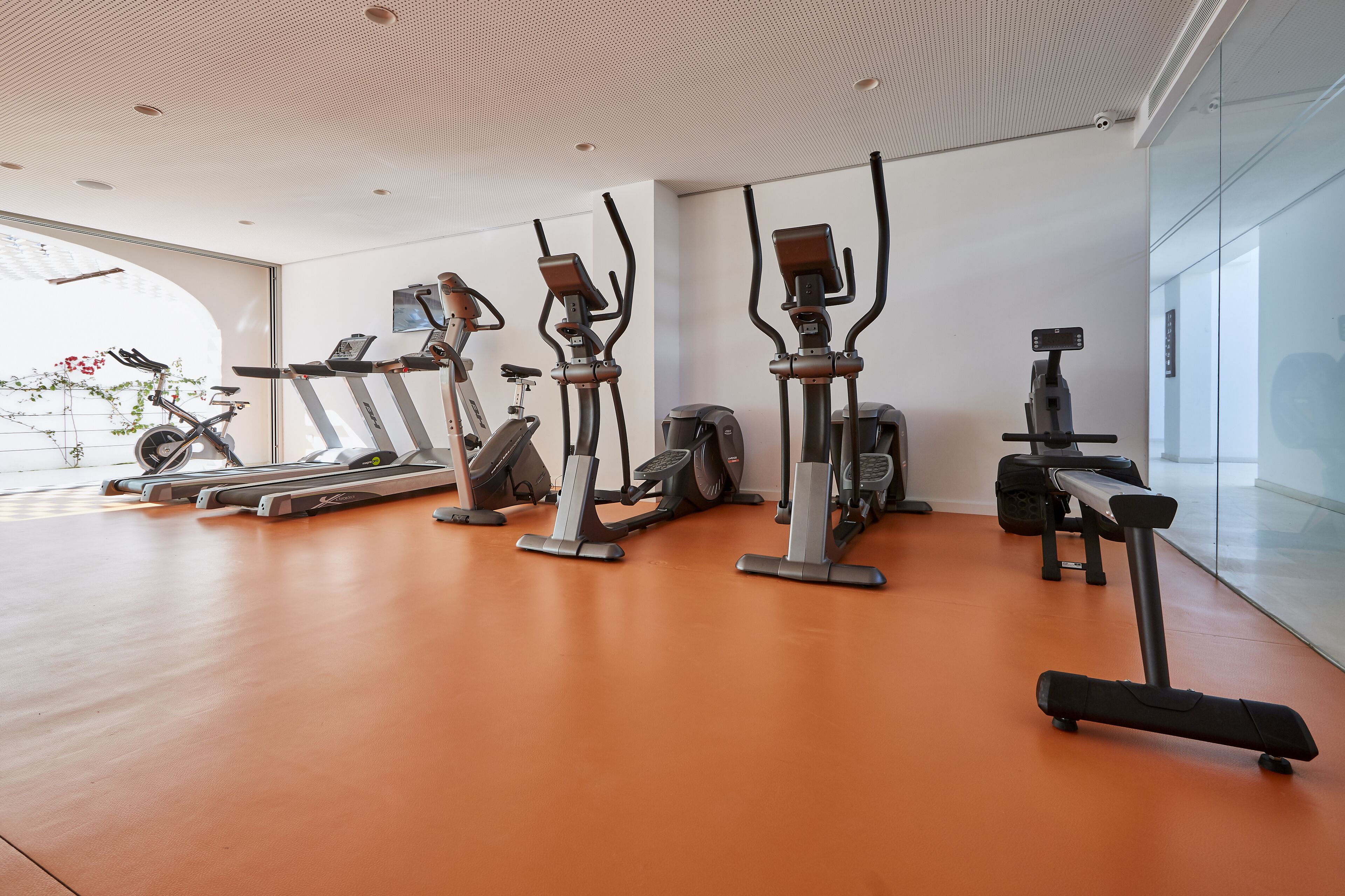 A modern gym with stationary bikes, treadmills, and a rowing machine.