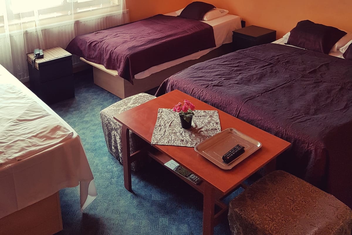 Blackout drapes, iron/ironing board, free WiFi, bed sheets