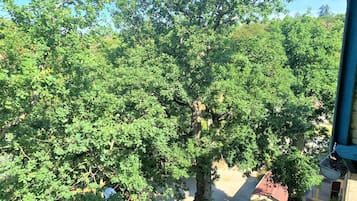 Triple Room | View from room