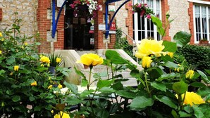 Een hotel ingang met een stenen gevel, een blauw dakoverhang en gele bloemen op de voorgrond.