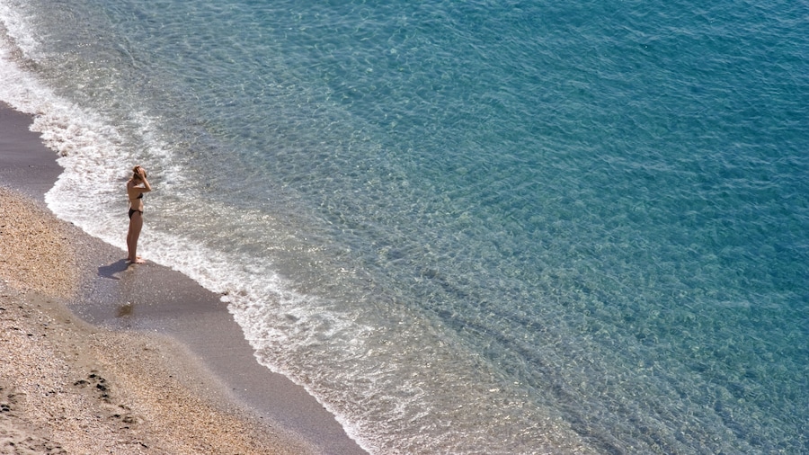 호텔 플라자 카바나