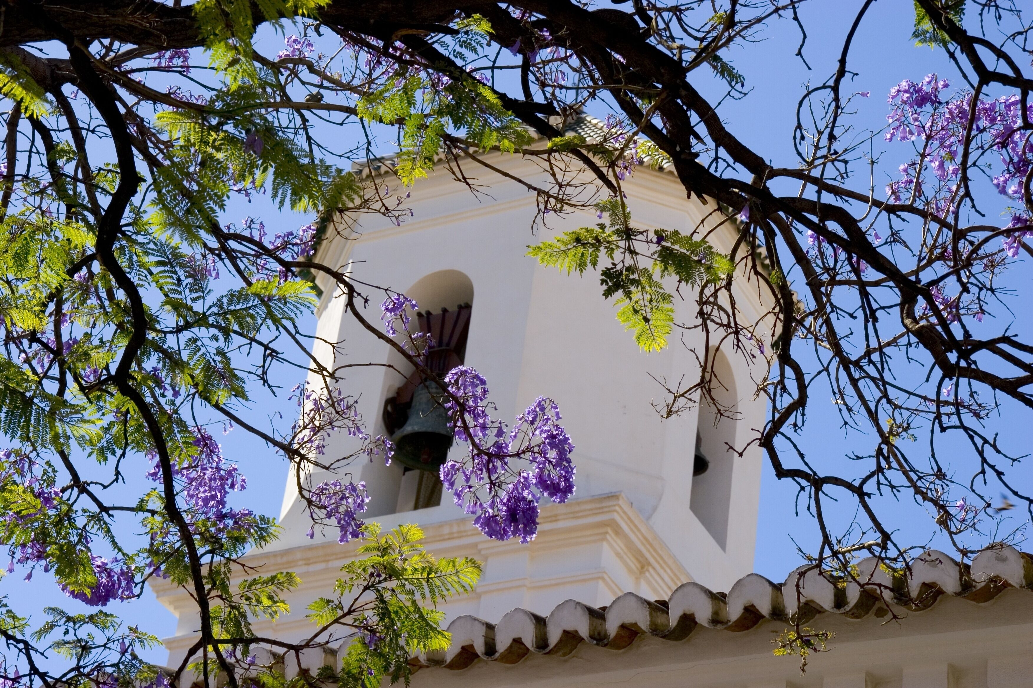 Foto - Hotel Plaza Cavana