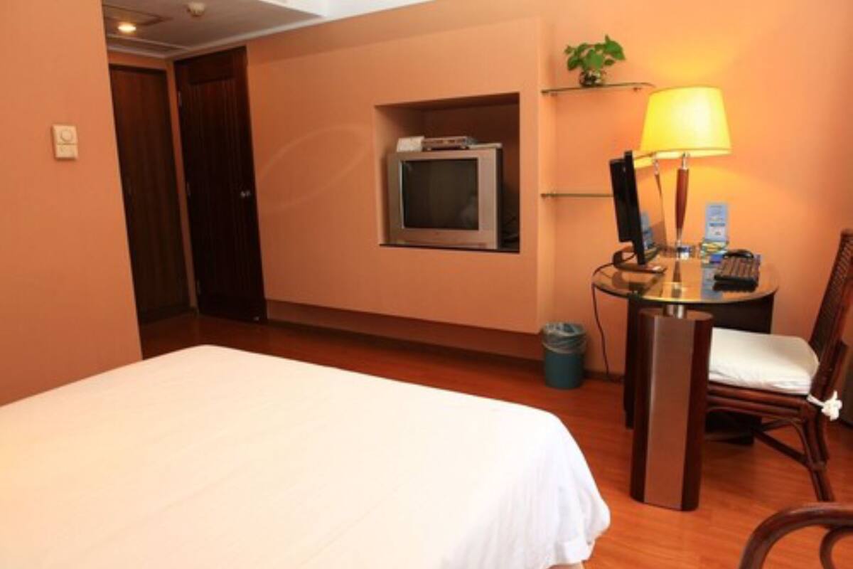 Habitación de hotel con cama, escritorio con lámpara, una silla, televisor y un pequeño estante con una planta.