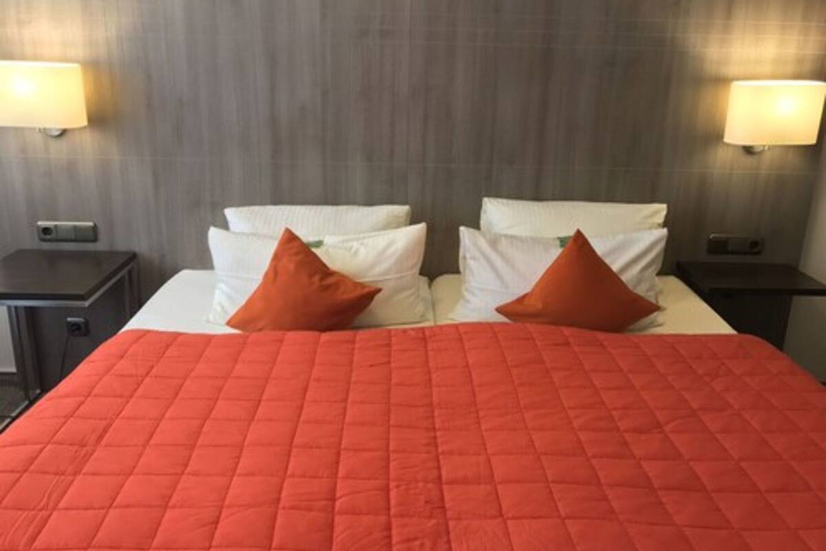 Habitación Confort doble | Ropa de cama hipoalergénica y escritorio