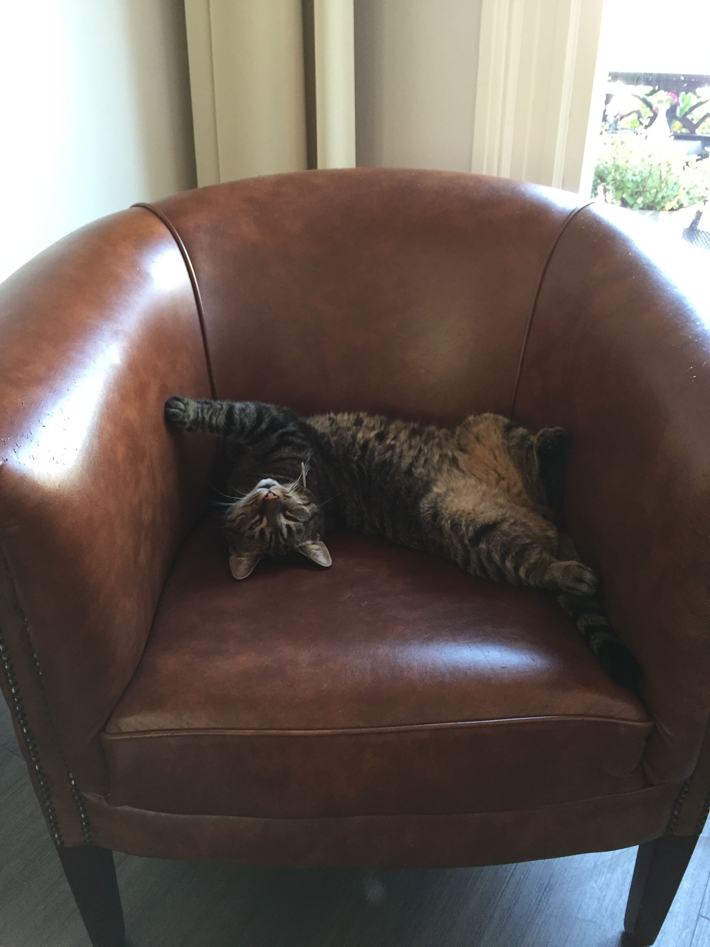 Photo - Hotel Clemens