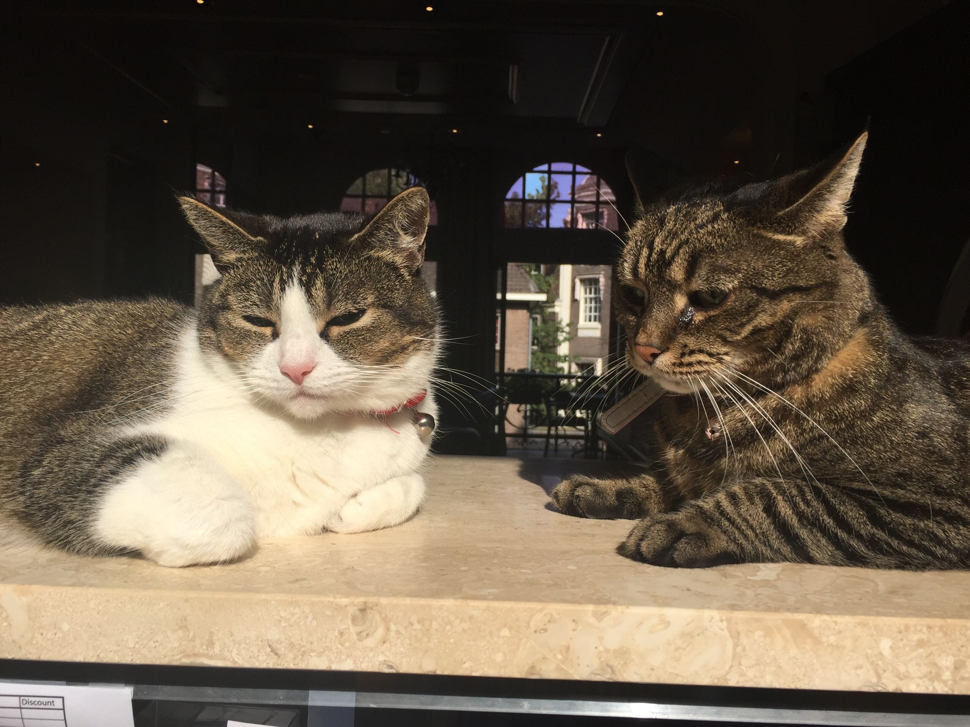 Photo - Hotel Clemens