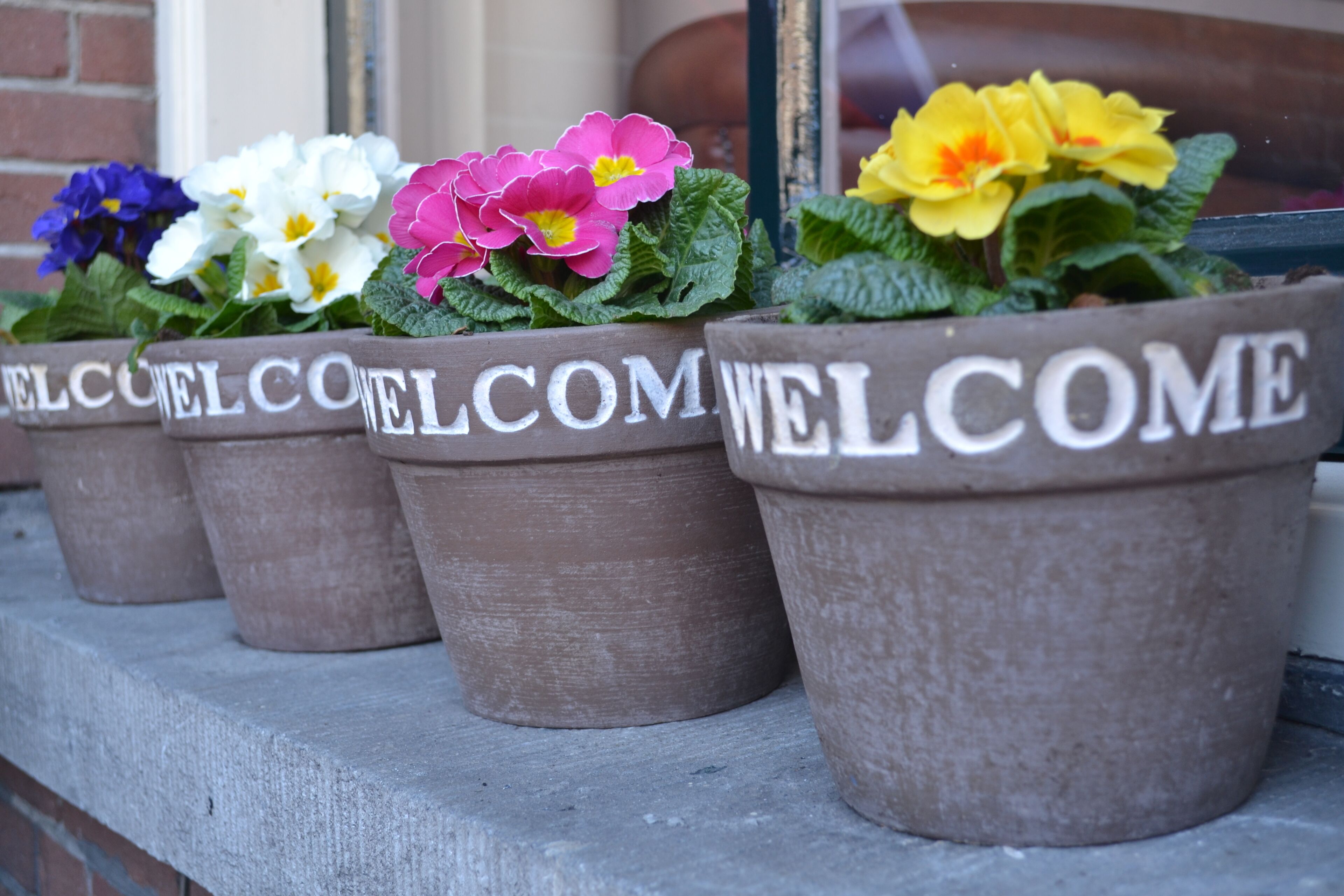 Photo - Hotel Clemens