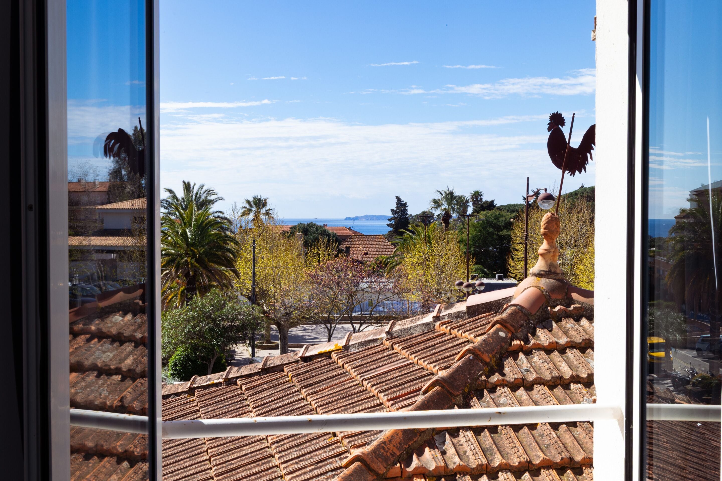 Vista desde la propiedad