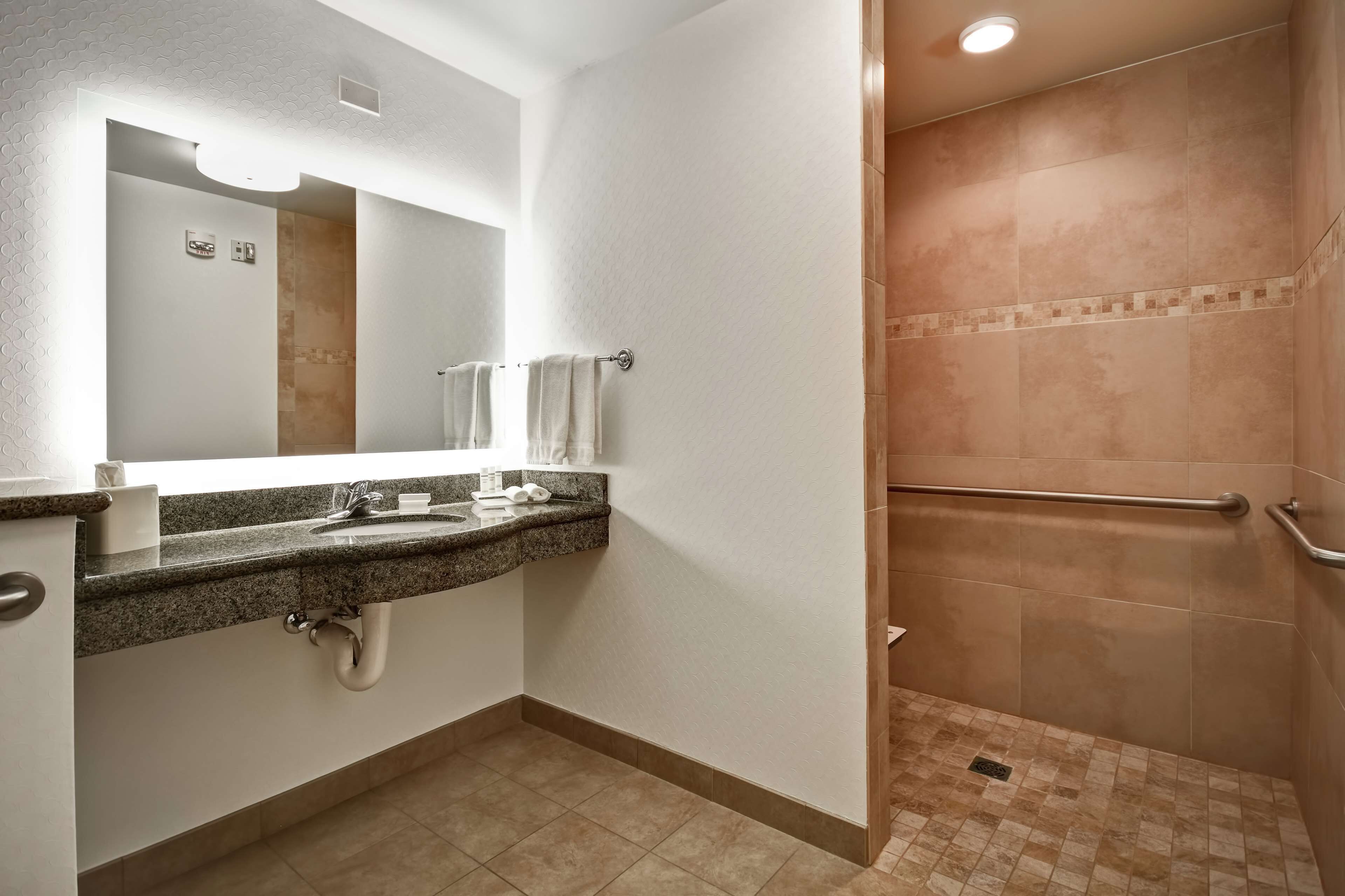A bathroom with a granite countertop sink, a mirror, and a shower area with a grab bar.