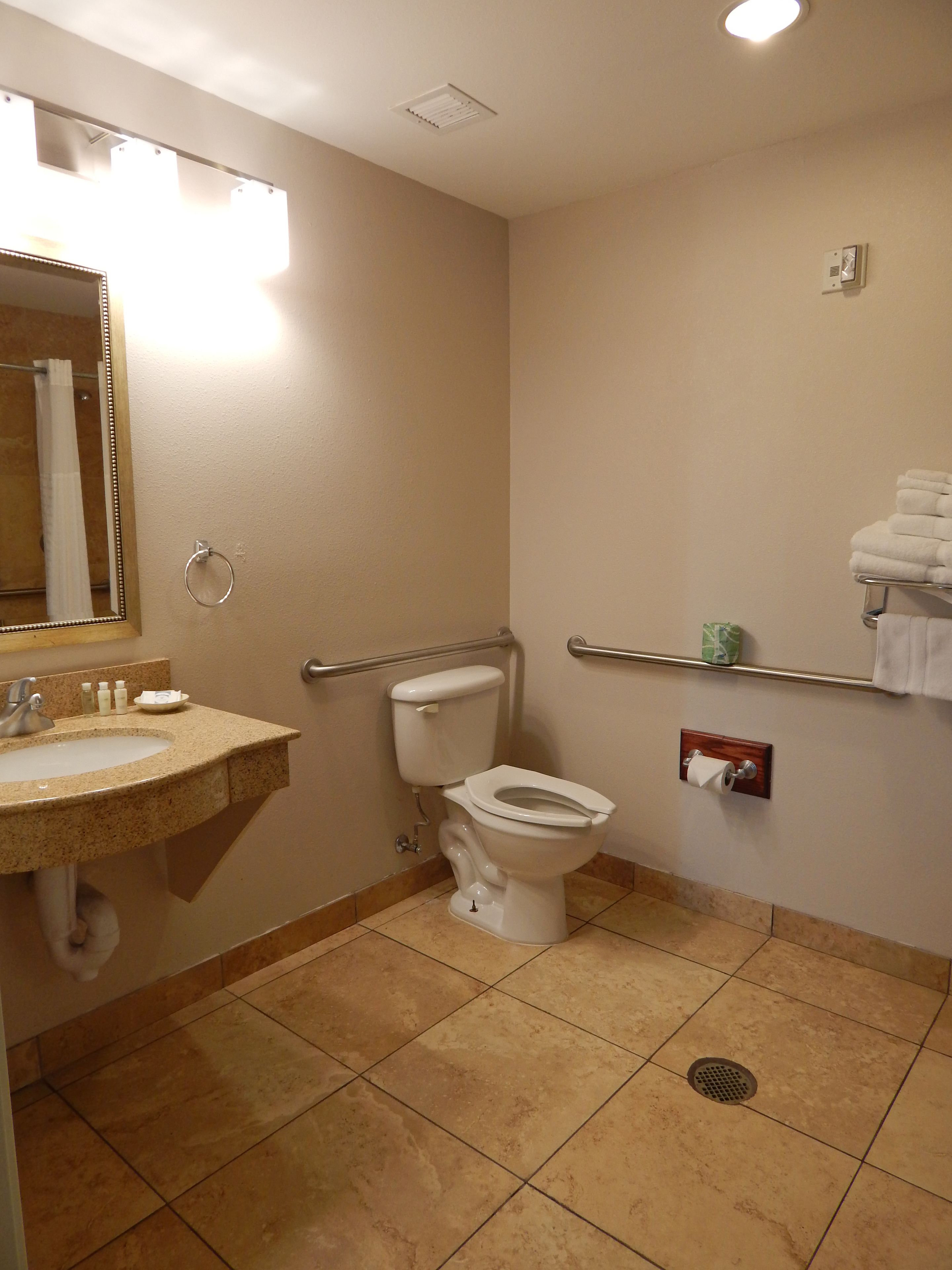 Une salle de bain équipée d’un lavabo, de toilettes et de barres d’appui.