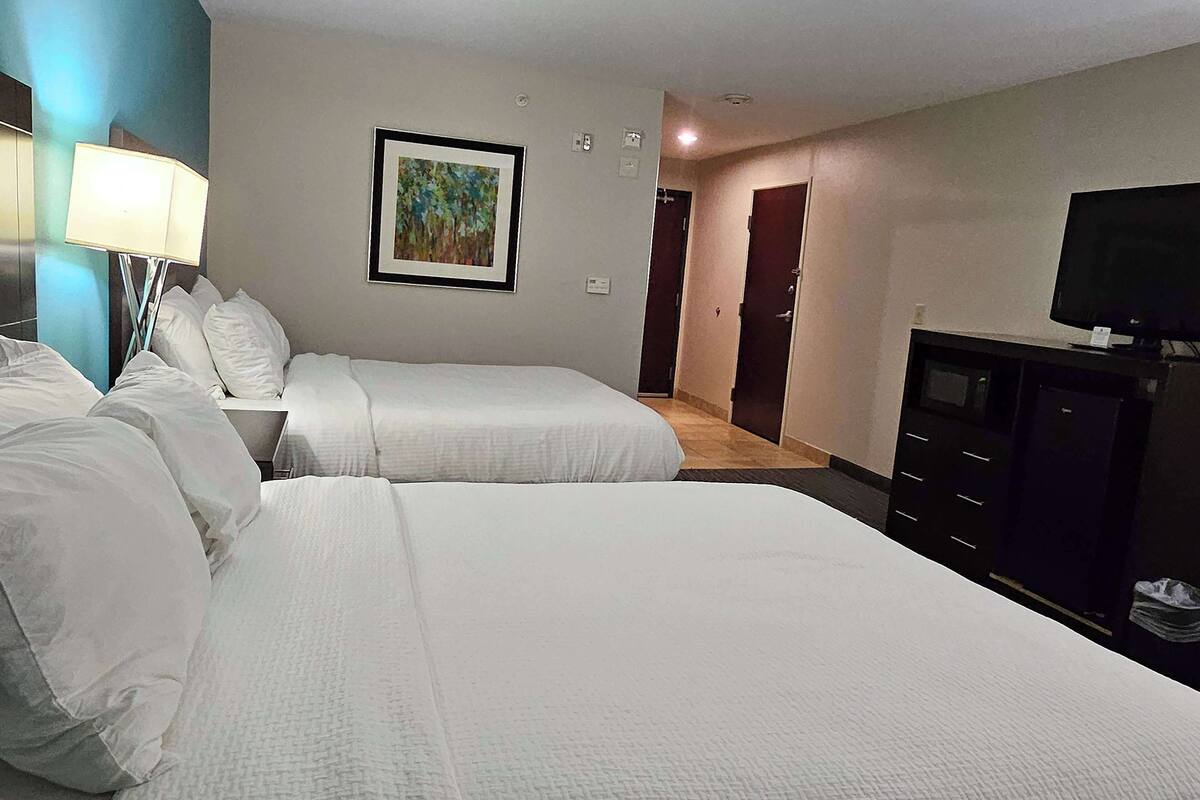 Habitación de hotel con dos camas, un escritorio, una lámpara, un televisor y un cuadro en la pared.