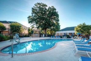 Una piscina con sillas de descanso y un gran árbol al fondo.