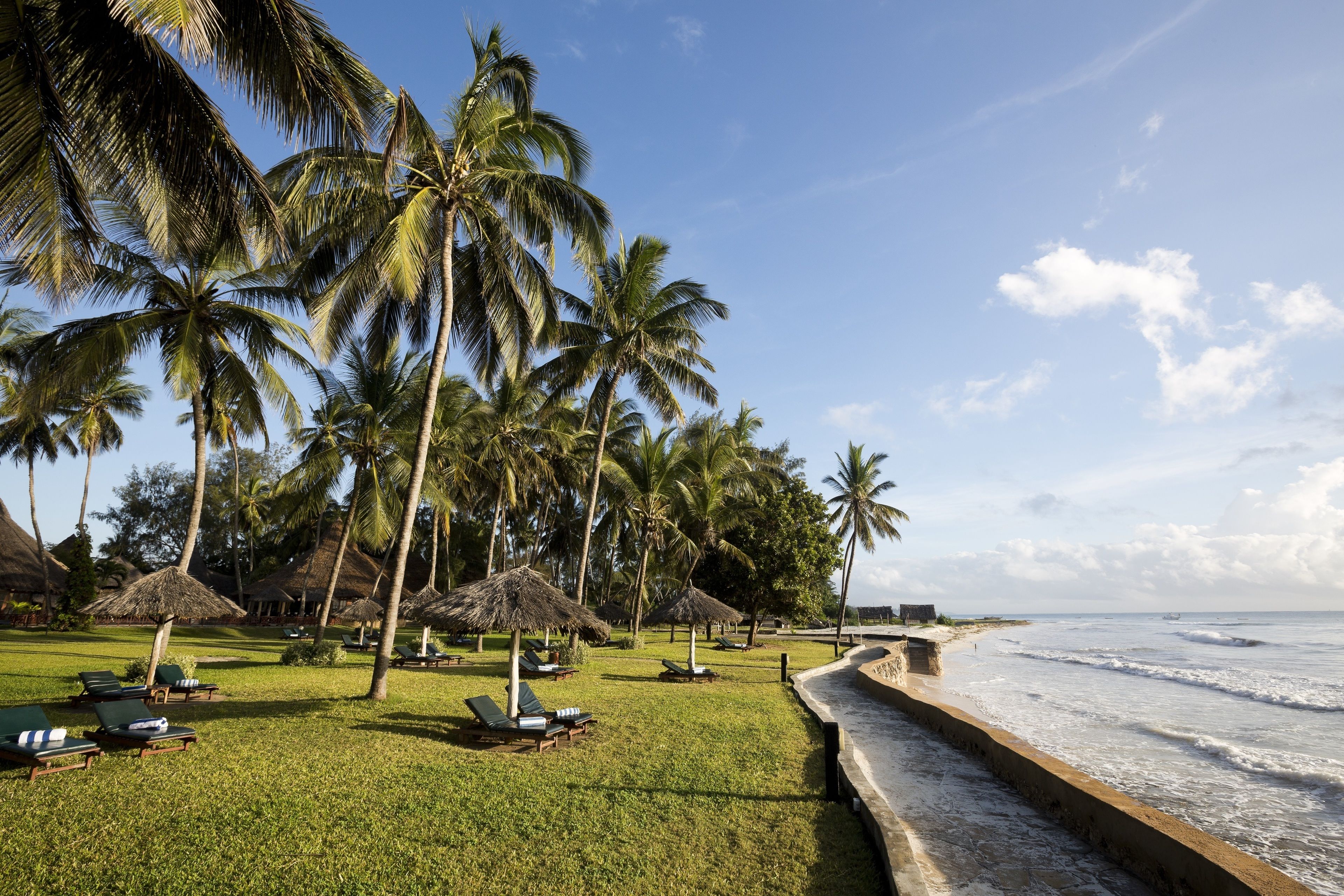 A beach resort with palm trees, lounge chairs, and a sea view.