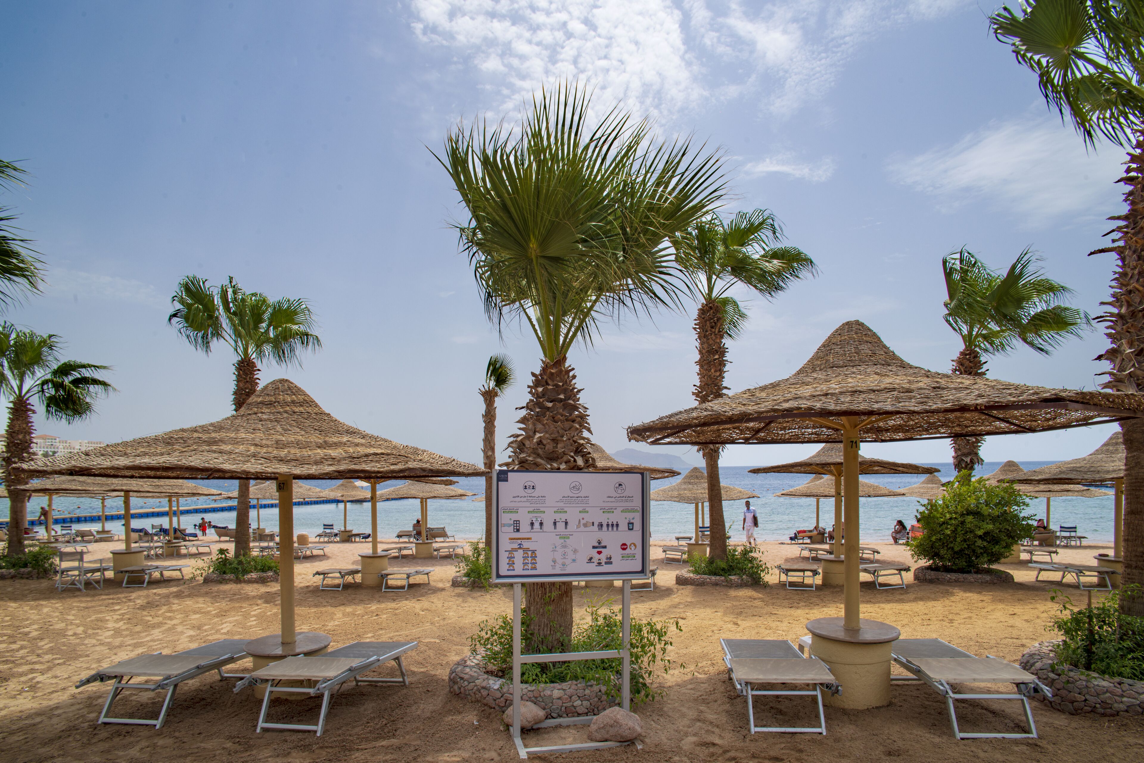 A beach with palm trees, sun loungers, and thatched umbrellas.