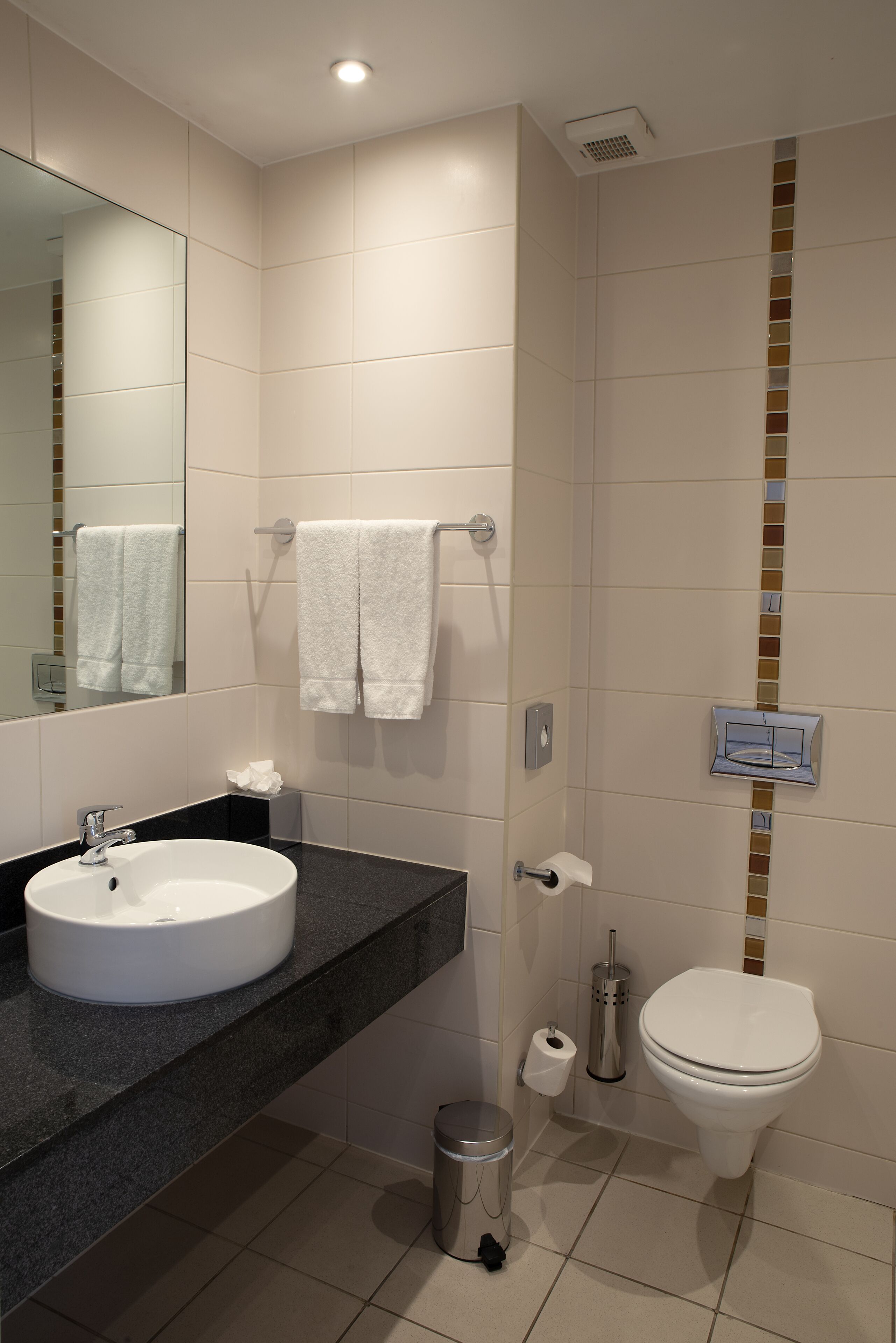 combined shower/bathtub, free toiletries, hair dryer, towels