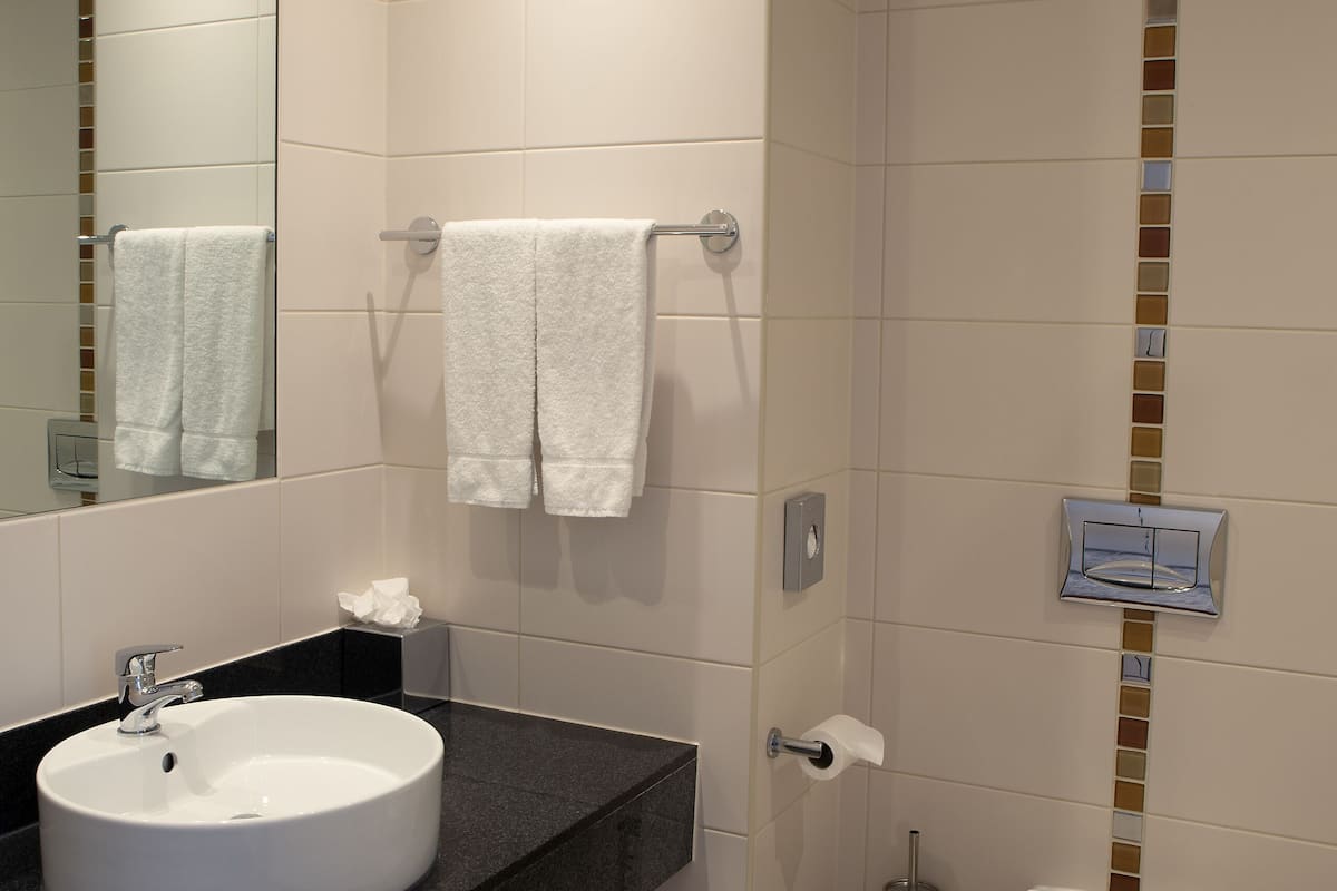 combined shower/bathtub, free toiletries, hair dryer, towels