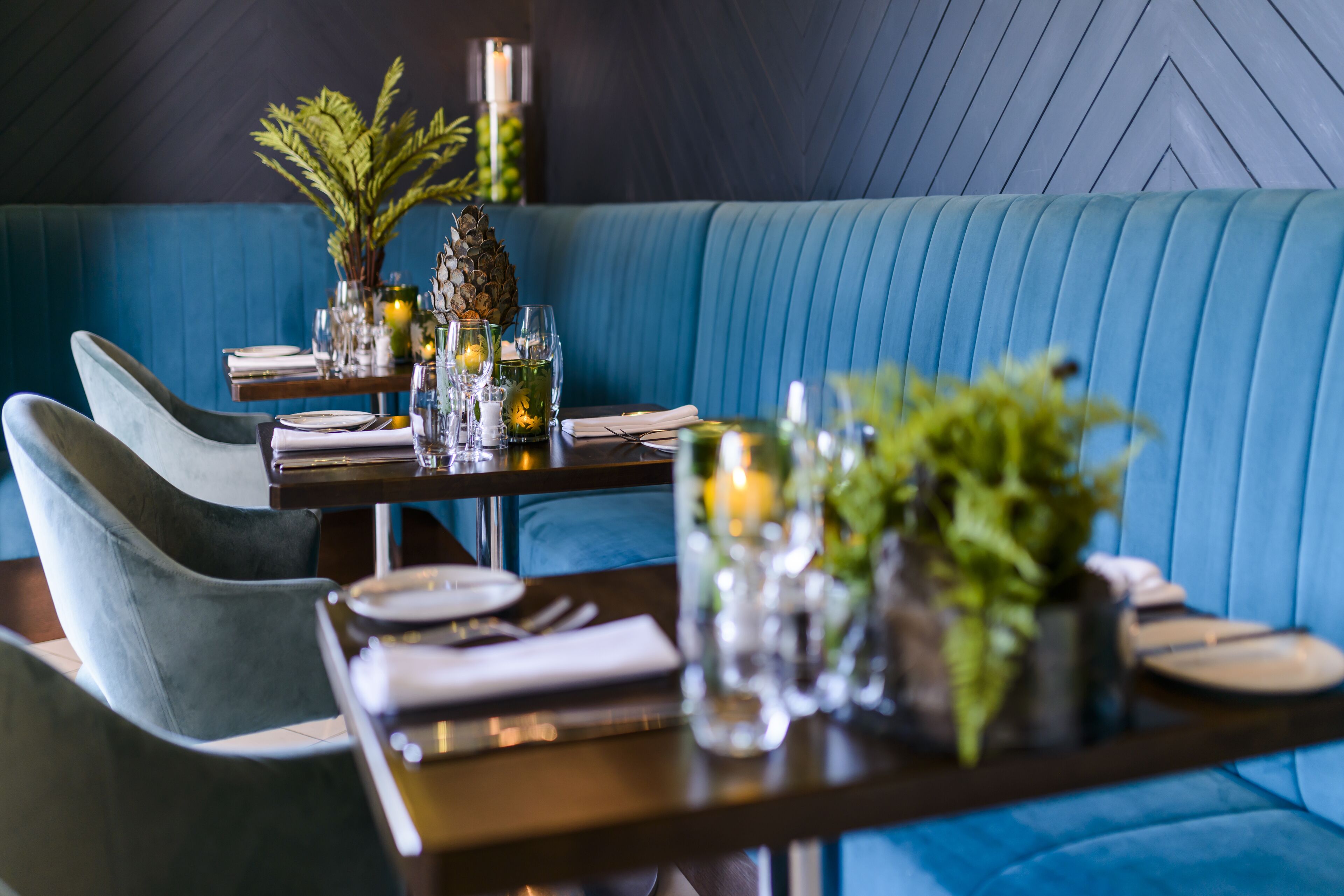 A dining area with a blue upholstered booth, a wooden table set with plates, glasses, and a potted plant.