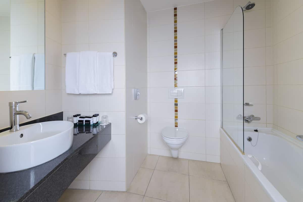 combined shower/bathtub, free toiletries, hair dryer, towels