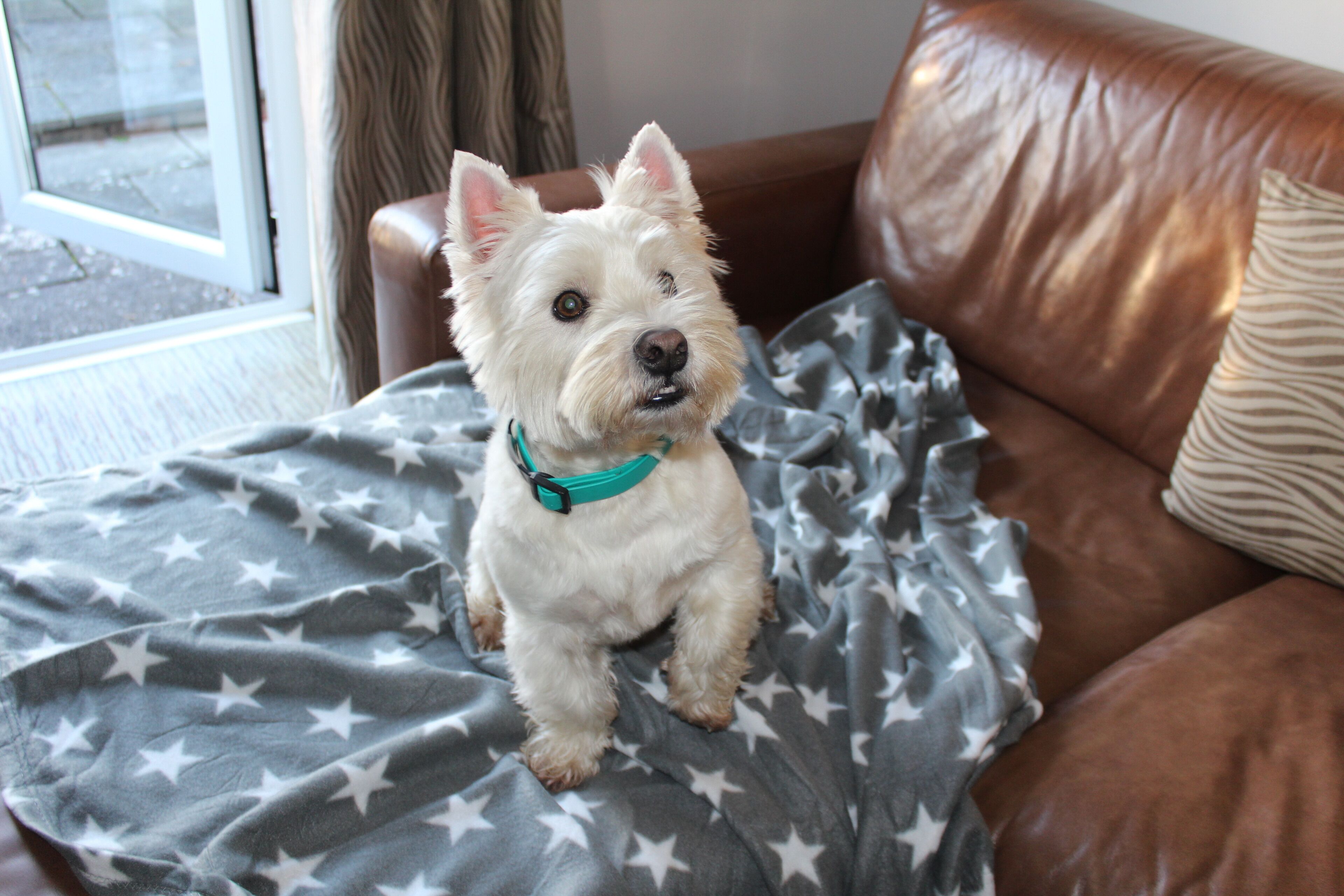 cottage | 1 bedroom, in-room safe, laptop workspace, iron/ironing board