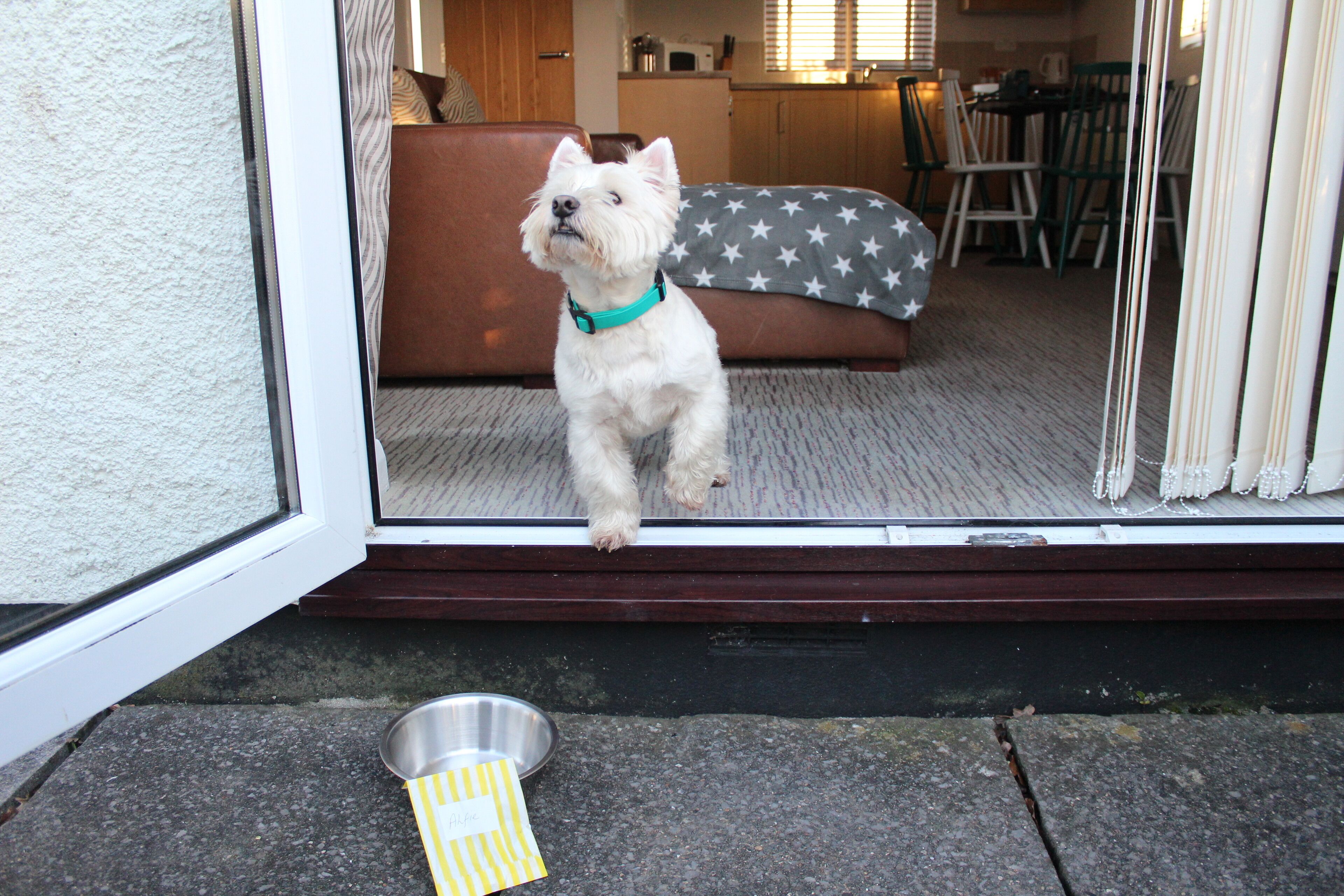 cottage | 1 bedroom, in-room safe, laptop workspace, iron/ironing board