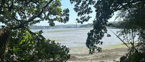 A river with a bridge in the background, surrounded by trees.