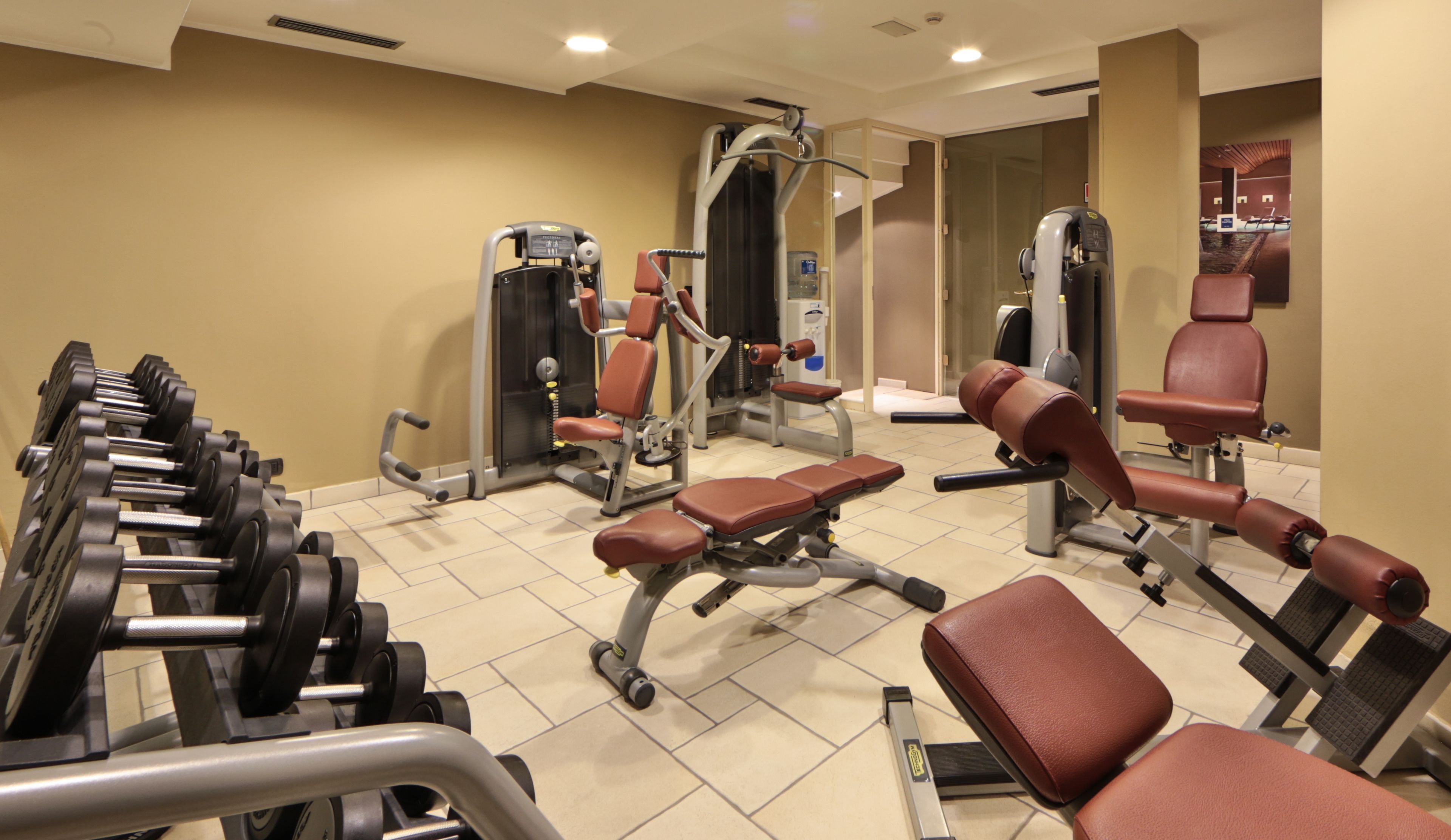 Un gimnasio con diverso equipo de ejercicio, incluyendo mancuernas, bancos y máquinas de pesas.