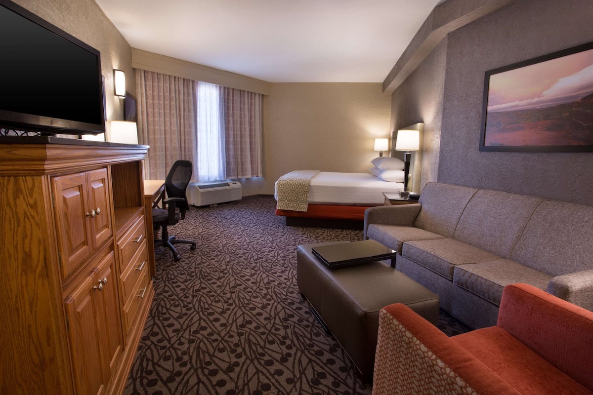 A hotel room with a bed, a sofa, a TV, a desk, and a wardrobe.