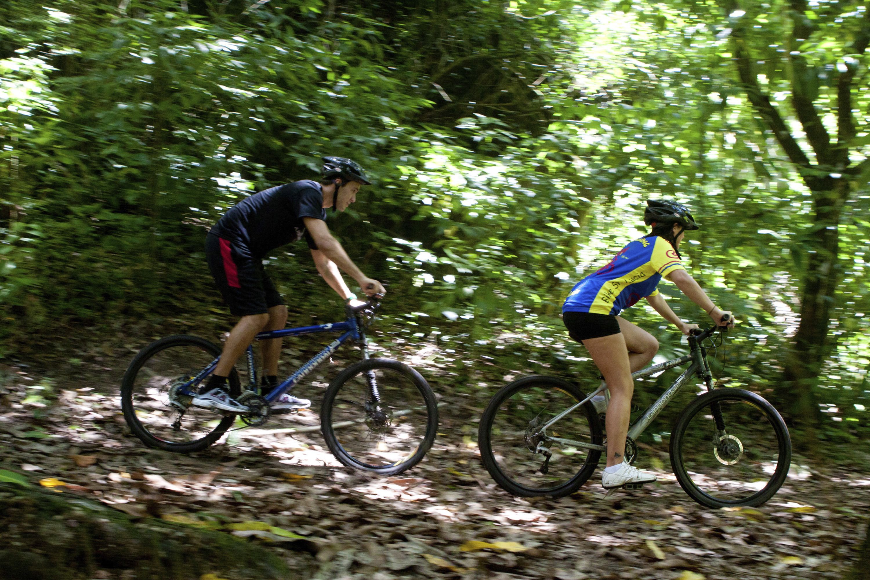 Two cyclists on a forest trail.