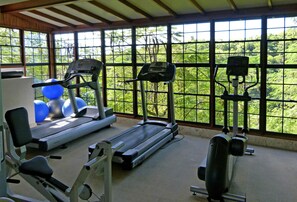 A gym with treadmills, exercise balls, and weight machines, with large windows offering a view of lush greenery.