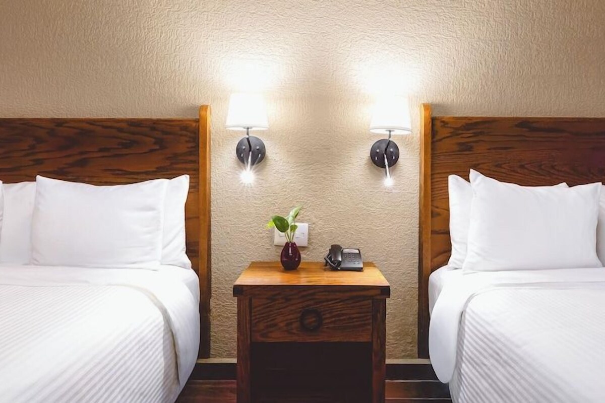 A hotel room with two beds, a wooden headboard, a nightstand with a lamp, and a small plant.
