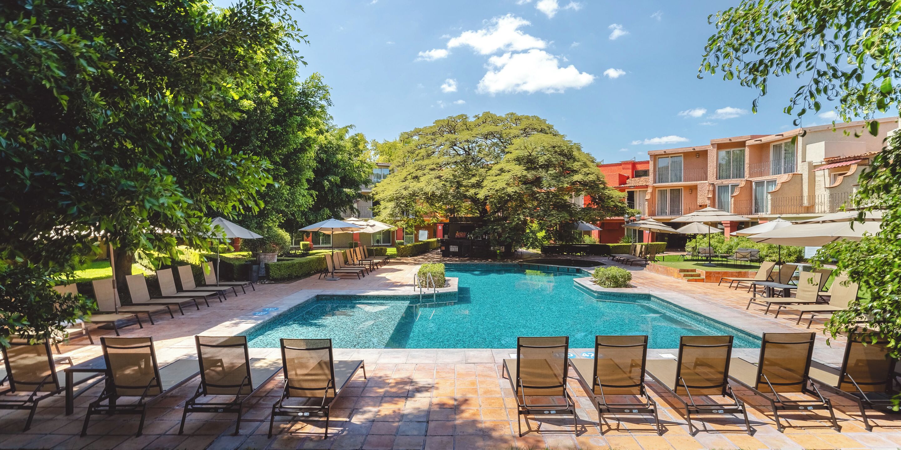 Alberca al aire libre, sombrillas en la alberca y camastros 