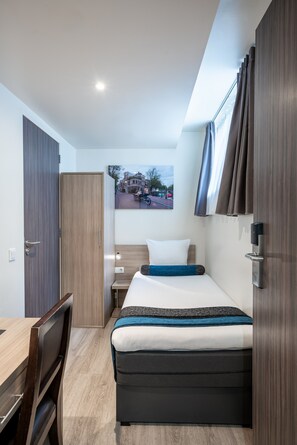 Basic Single Room (Basement, Limited View) | View from room