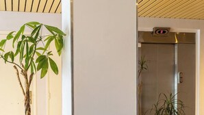 Un intérieur moderne avec un fauteuil recouvert d’un tissu vert, une plante en pot et un ascenseur en arrière-plan.
