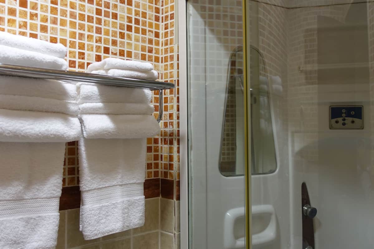 shower, free toiletries, hair dryer, towels