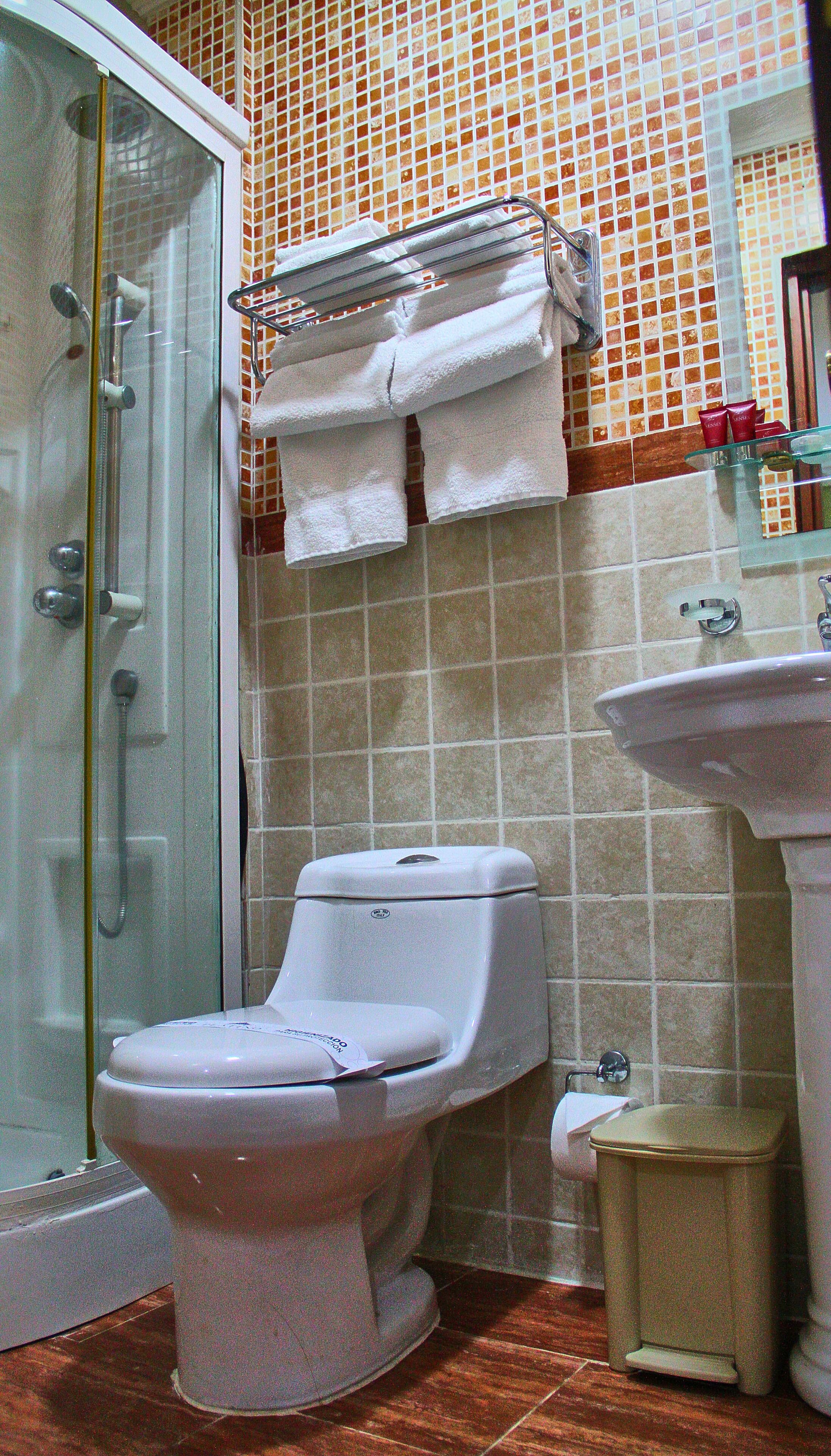 executive deluxe room | bathroom | shower, free toiletries, hair dryer, towels