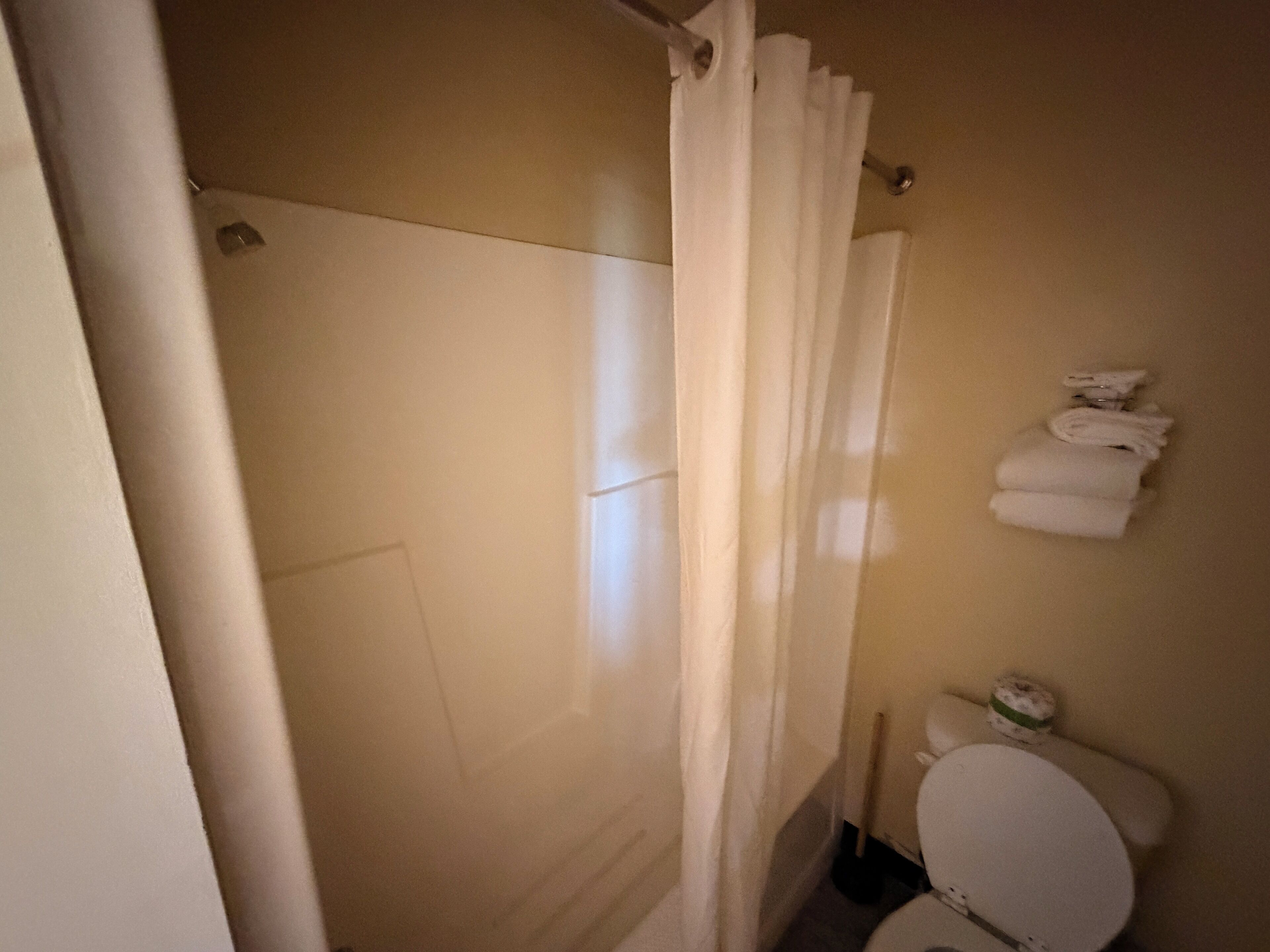 Un baño con ducha, inodoro y barra para toallas.