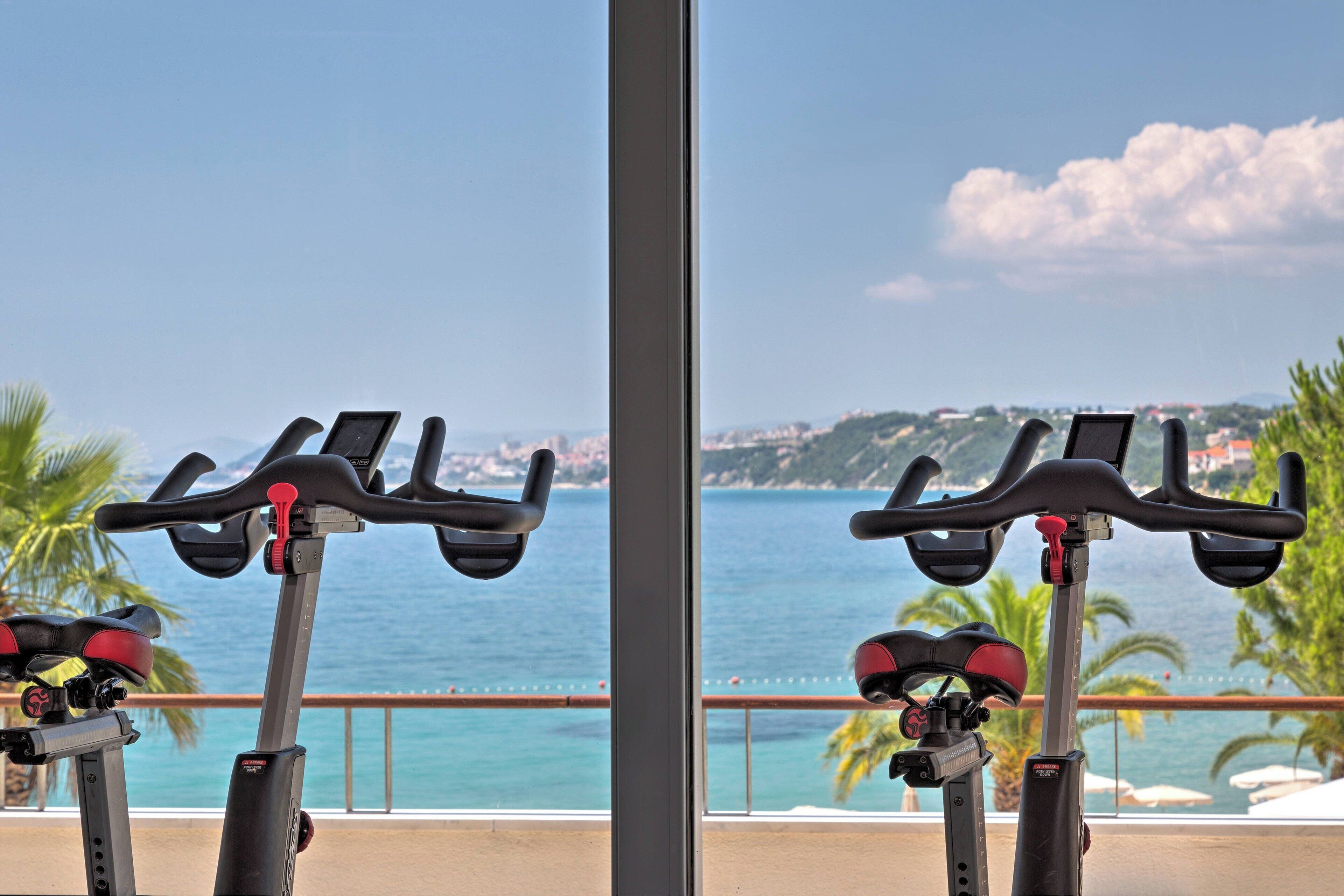 Two stationary bikes positioned in front of a window overlooking a coastal view with palm trees and a railing.