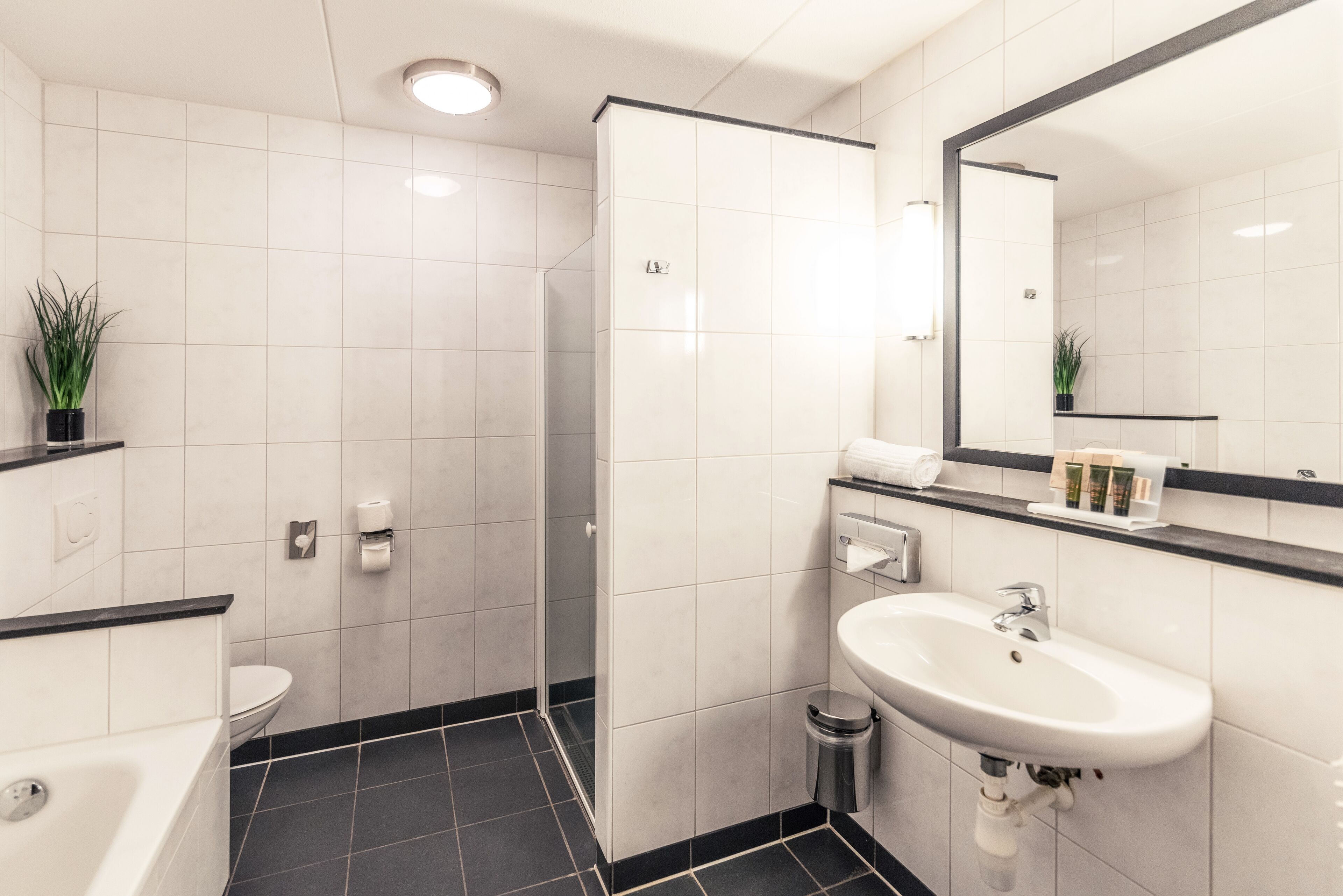 Ein modernes Badezimmer mit Toilette, Waschbecken und Dusche.