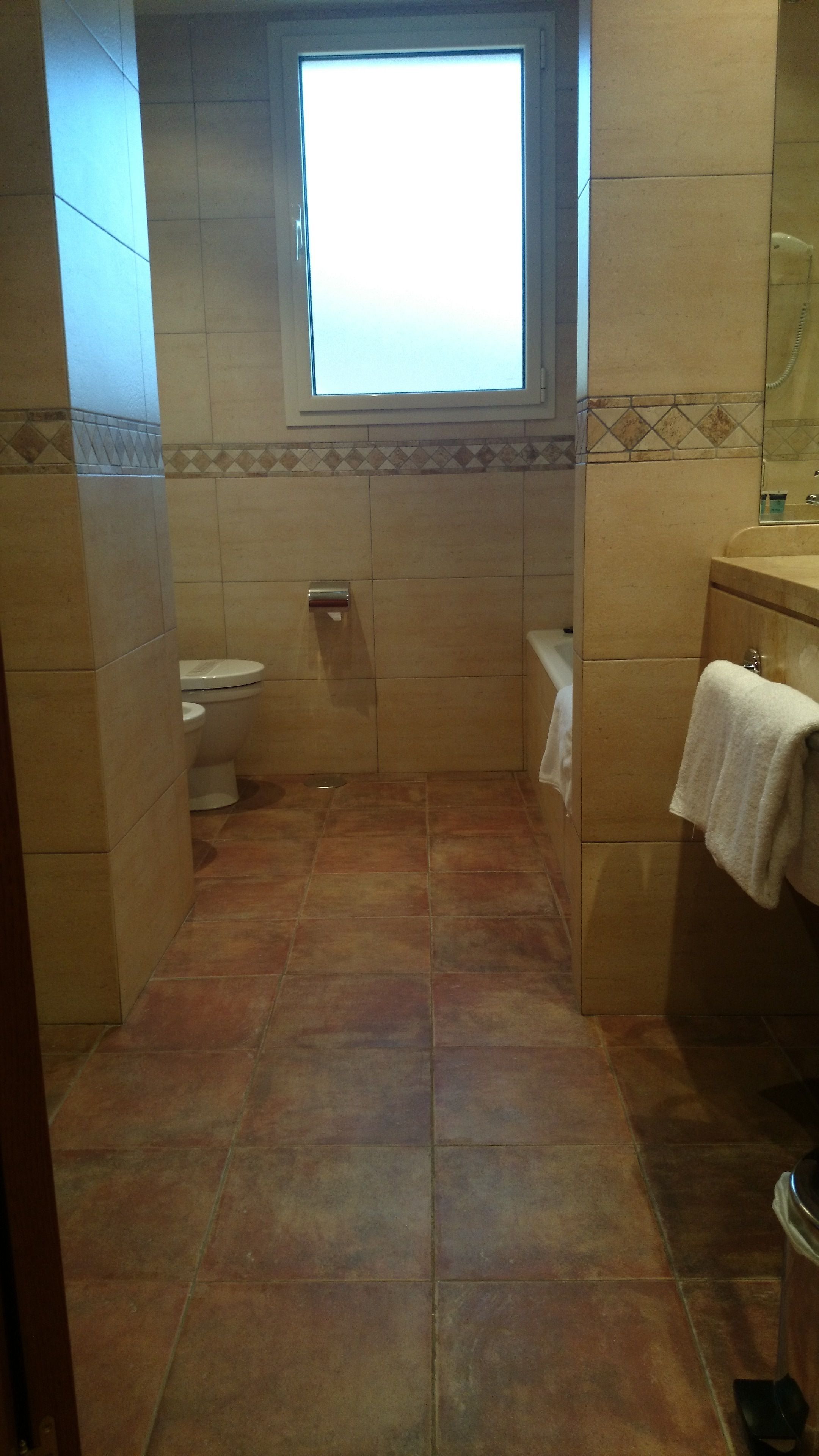 free toiletries, hair dryer, bidet, towels