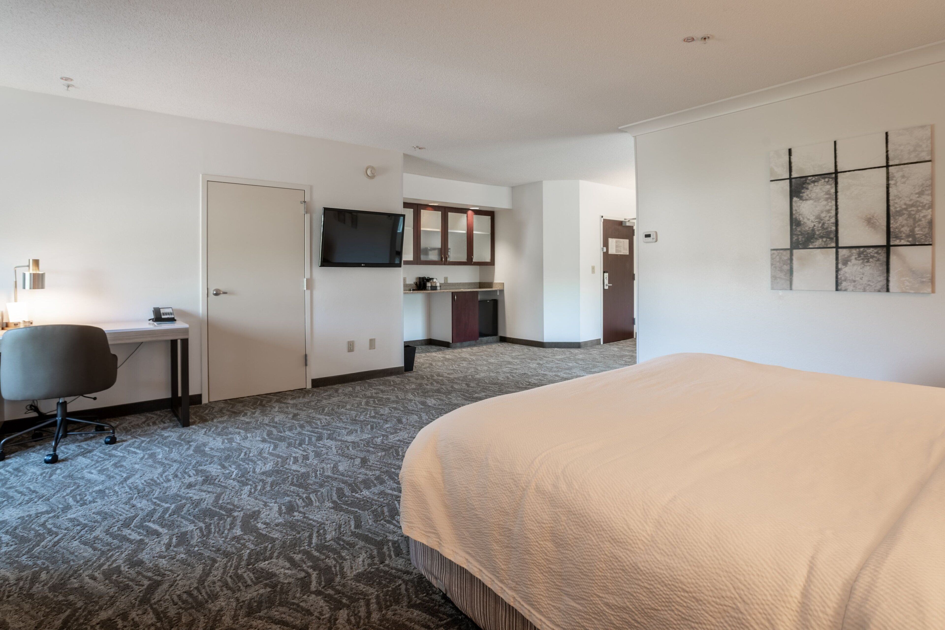 executive suite, 1 king bed with sofa bed (hearing accessible) | in-room safe, desk, laptop workspace, blackout curtains