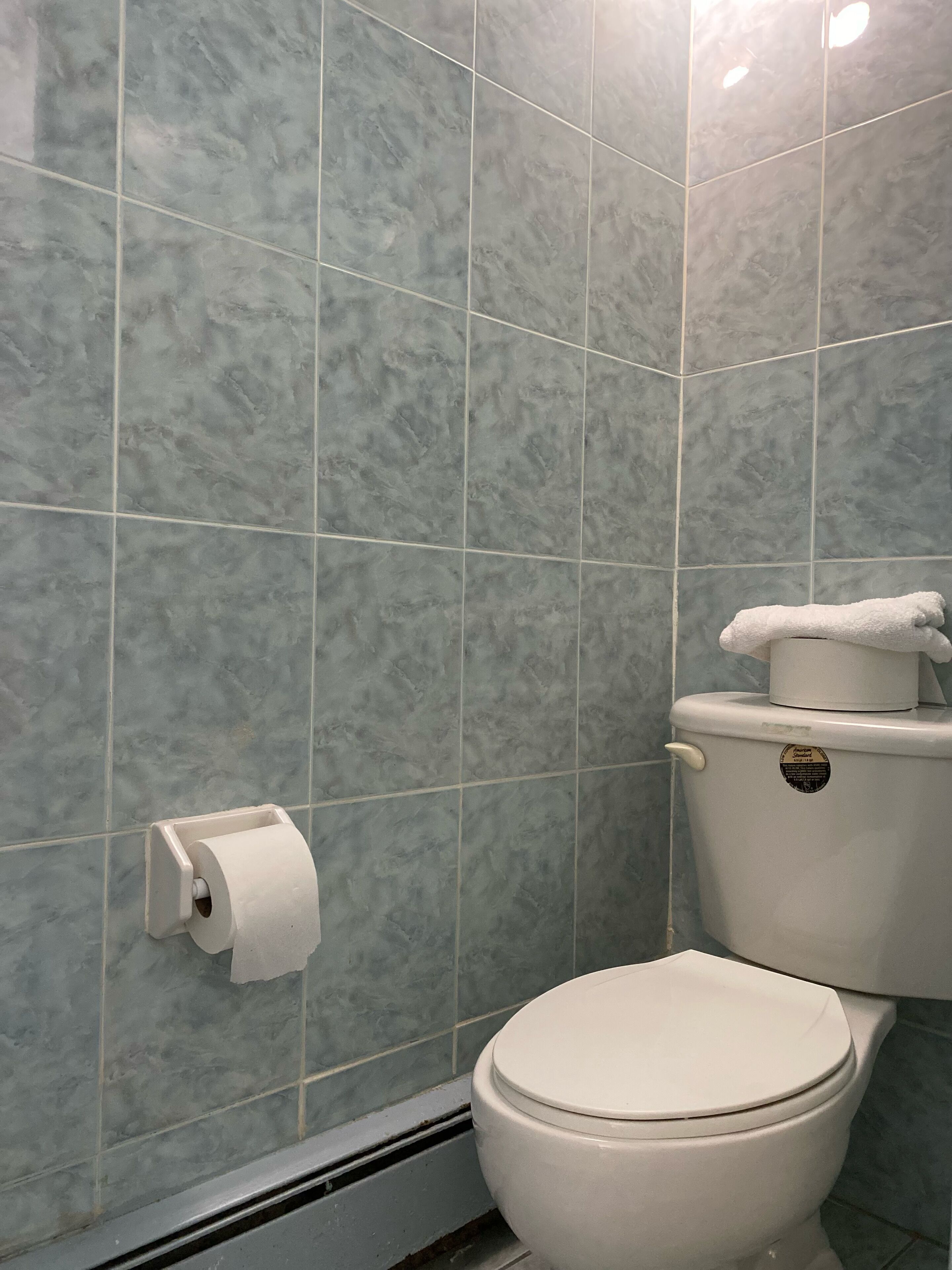 Casa de banho com sanita, rolo de papel higiénico e toalha sobre o autoclismo.