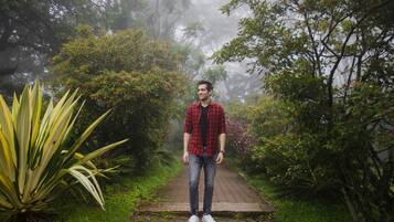 Una persona parada sobre un sendero de ladrillo, rodeada de exuberante vegetación y árboles.