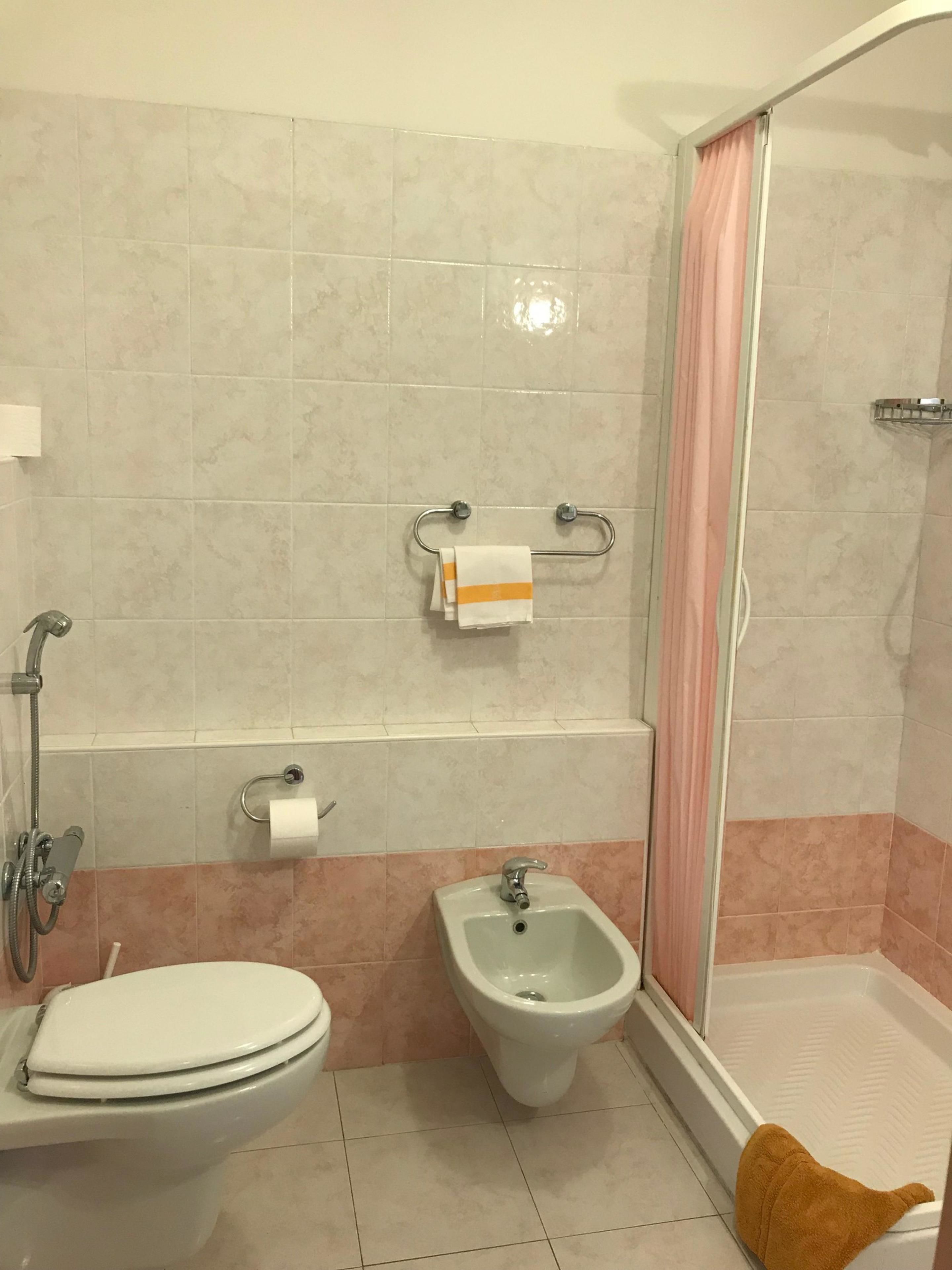 A bathroom with a toilet, bidet, and shower area.