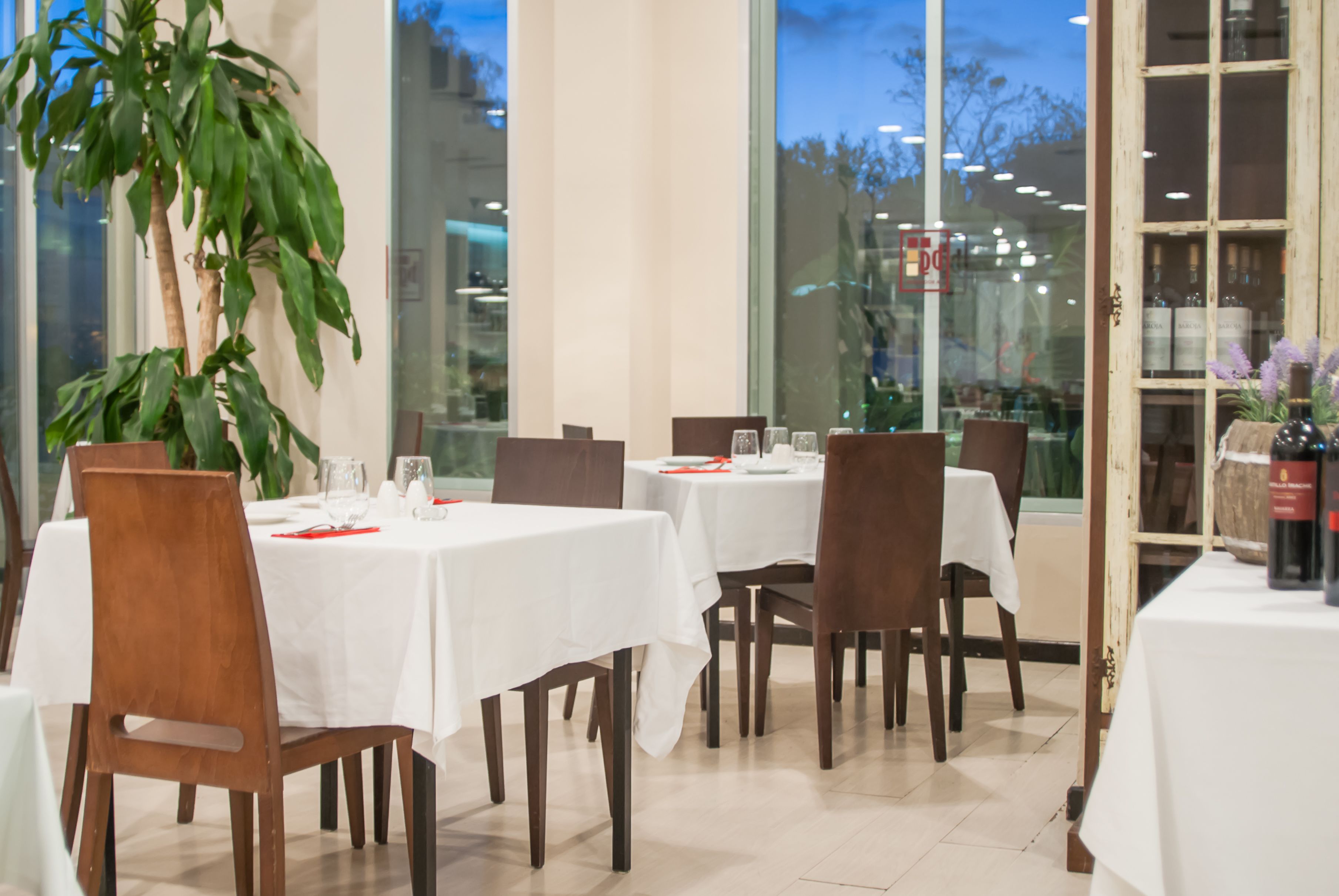 Un restaurante con mesas dispuestas para comer, ventanas amplias y una planta en maceta.