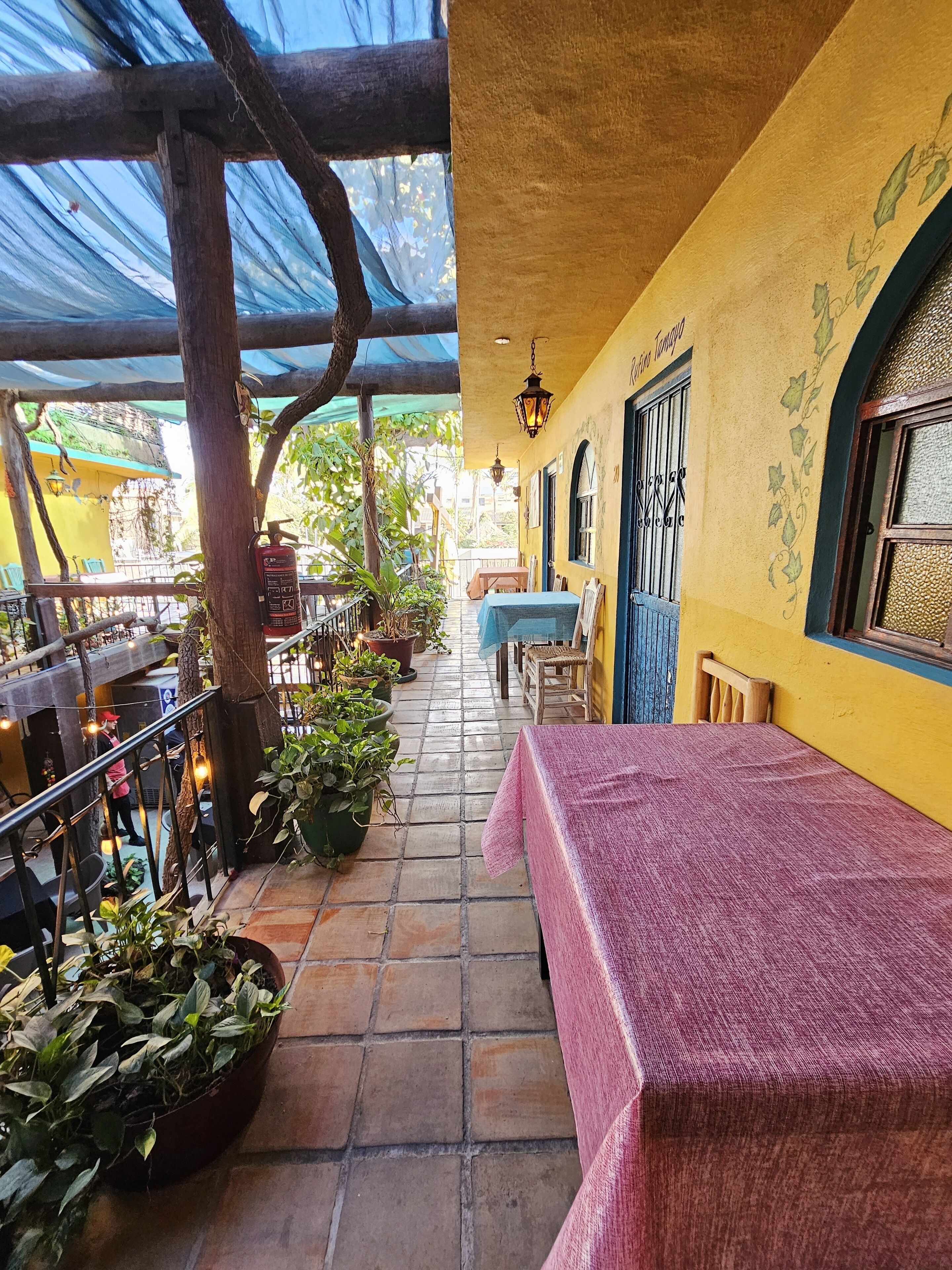 A covered outdoor seating area with tables and chairs, potted plants, and a fire extinguisher.