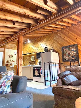 Tabla de planchar con plancha, wifi gratis y ropa de cama . Dawson House Lodge