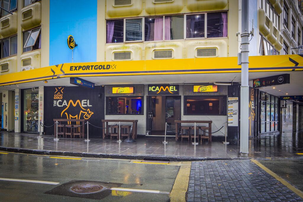 施設からの眺望