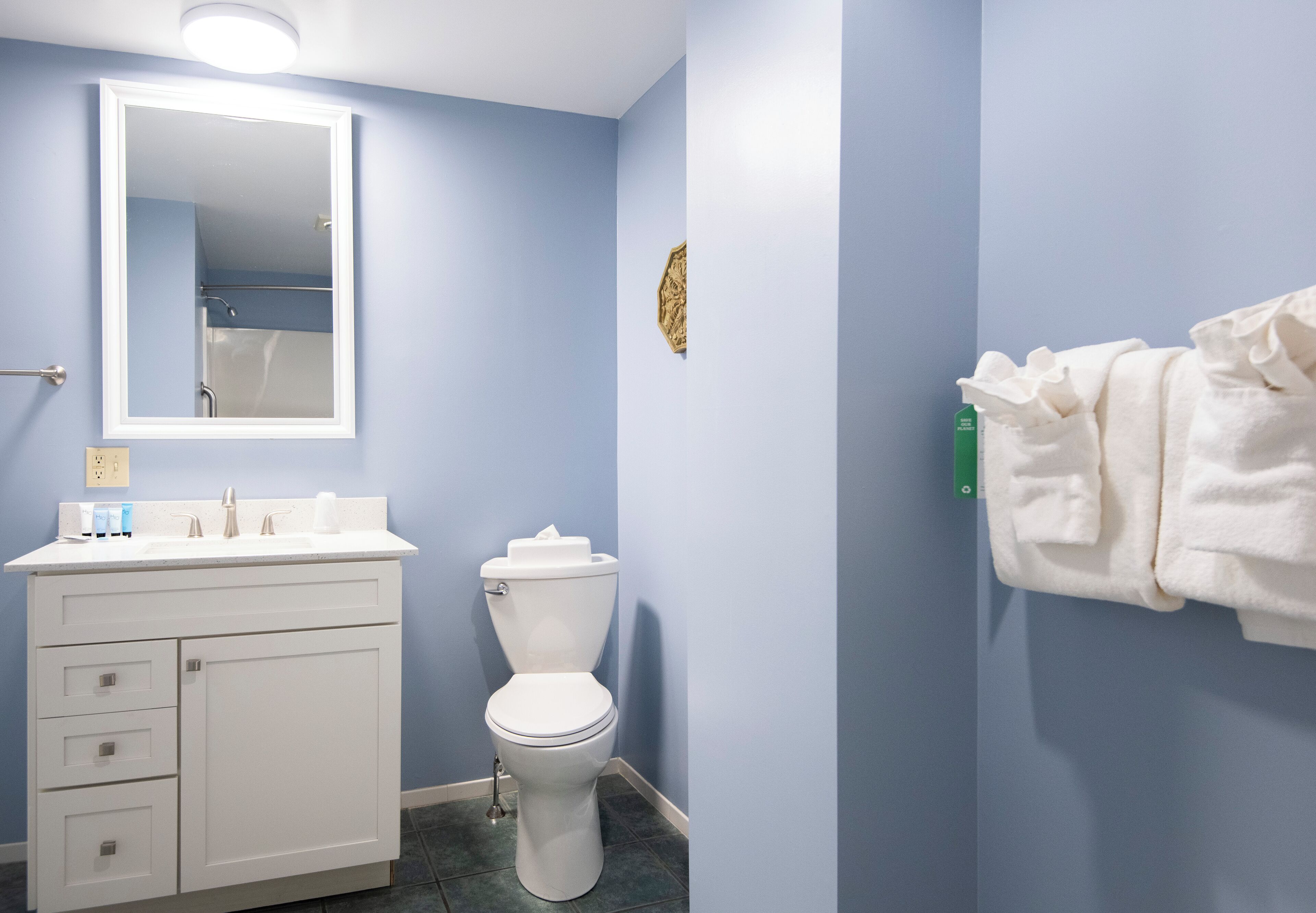 classic suite, 1 king bed | bathroom | eco-friendly toiletries, hair dryer, towels